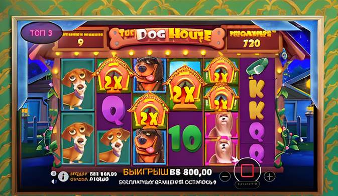 | mindful senior care